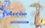 Banner de BellaChic