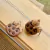 Protector Airpod Pro Cookie en internet