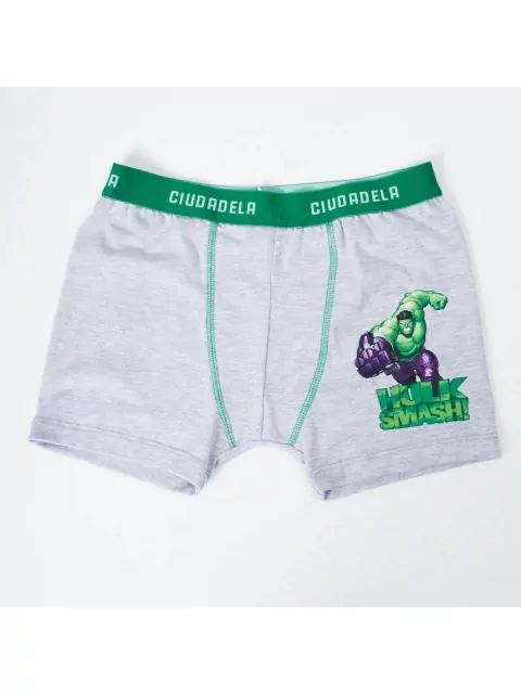Bóxer Hulk |