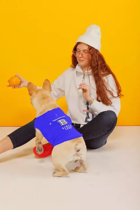 REMERA PET COLLEGE - comprar online