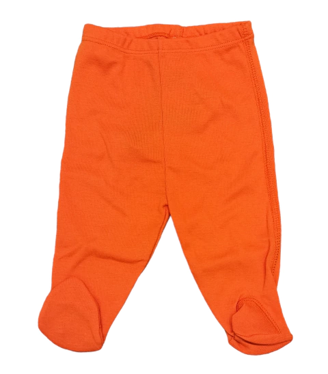 Ranita Lisa | G de B