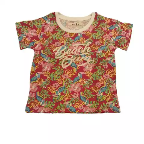 Remera Sta Clarita | Joe Hopi