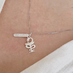 Colar Profissão Farmácia Banho Ródio Branco na internet