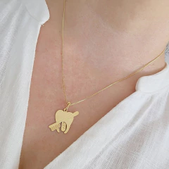 Colar Profissão Dentista Banho Ouro 18K