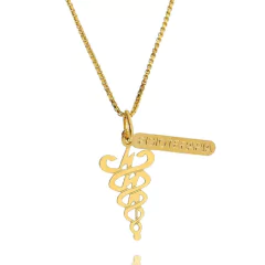 Colar Profissão Fisioterapia Banho Ouro 18K - comprar online