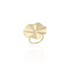 Anel Estilo Orgânico Banho Ouro 18K