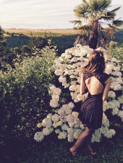 Vestido ALICE - comprar online