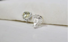 Aritos CLIP en internet