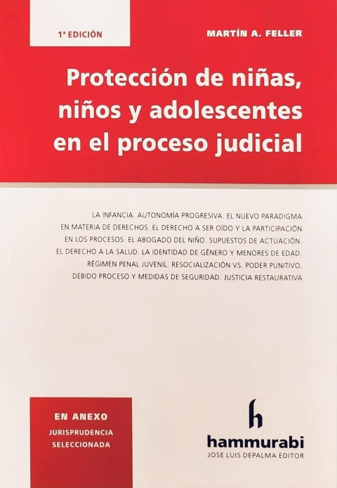 Protección de niñas, niños y adolescentes en el proceso judicial Feller -