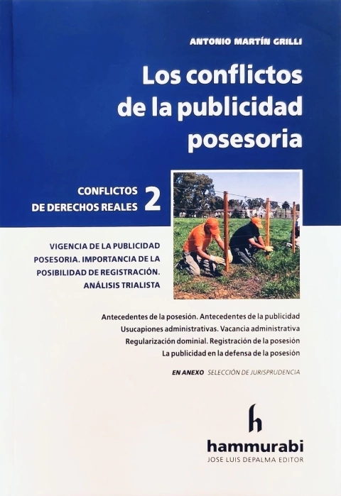 Los conflictos de la publicidad posesoria - Grilli