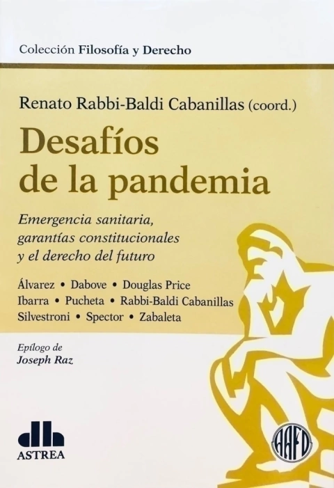 Desafíos de la pandemia RABBI-BALDI CABANILLAS, Renato (Coordinador)