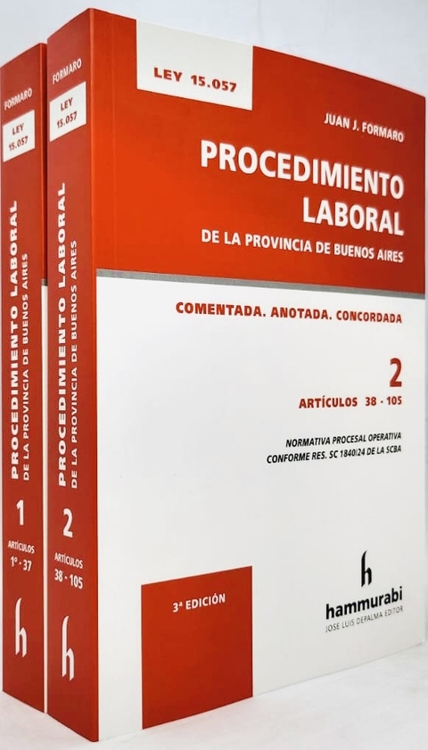 Procedimiento laboral BA, 2 ts. Formaro -