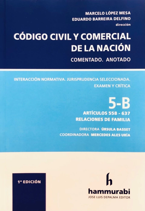 Código Civil y Comercial 5B - López Mesa -