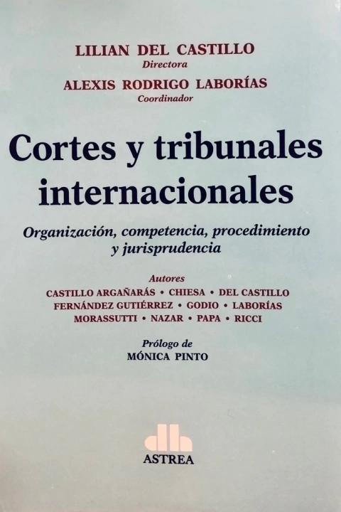Cortes y tribunales internacionales DEL CASTILLO, Lilian (Director)