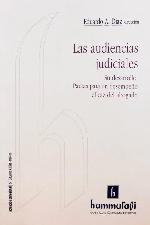 LAS AUDIENCIAS JUDICIALES - DIAZ -