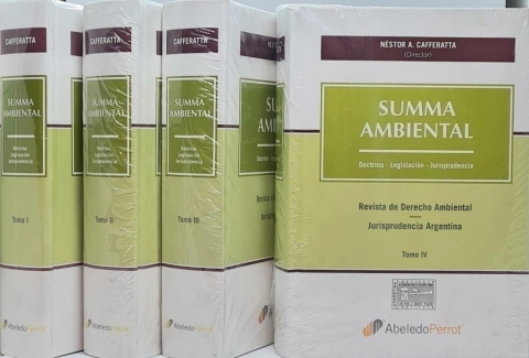 SUMMA AMBIENTAL Director: Cafferatta, Néstor A.