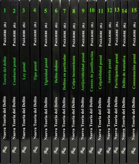 Colección: Nueva teoría del delito PAGLIERE (H.), Carlos P.