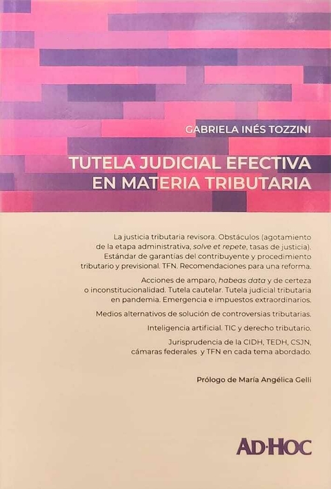 TUTELA JUDICIAL EFECTIVA EN MATERIA TRIBUTARIA. Tozzini, Gabriela Inés