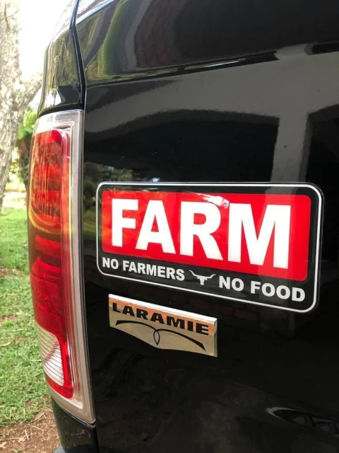 ADESIVO RESINADO LONGHORN TRUCK