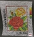 Tapiz Rosas 16x20cm + lana 4/7
