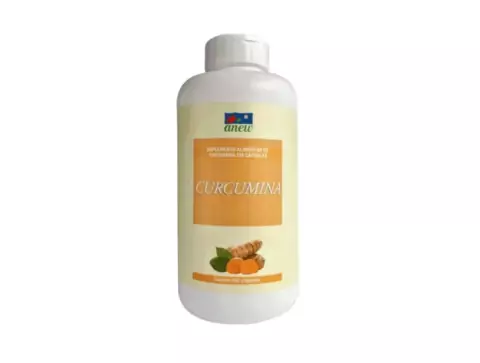 Curcumina 240 Cáps (cúrcuma longa) - Anew