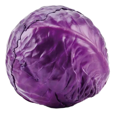 Semillas de Repollo Morado – Hortaliza de alto rendimiento, ideal para ensaladas y fermentados.