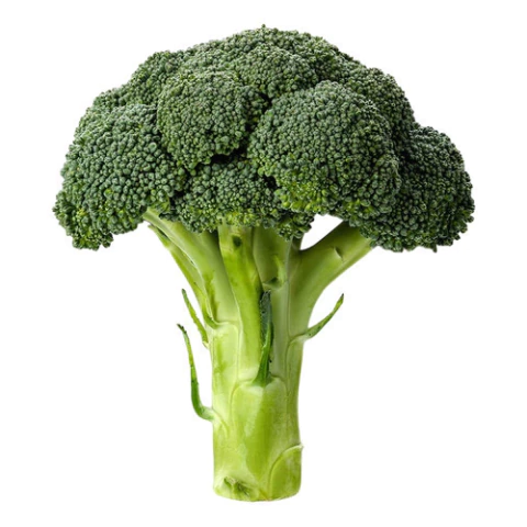 Semillas de Brócoli – Hortaliza verde, compacta y nutritiva, ideal para huertos y cocina