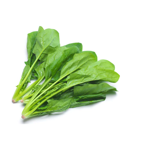 Semillas de Espinaca Jamaica – Hojas verdes, nutritivas y resistentes al frío