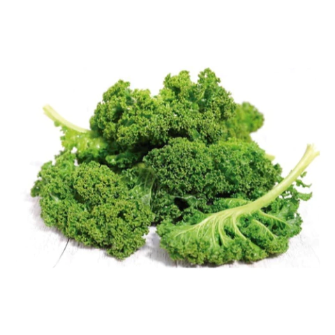 Semillas de Kale rizado verde | Huerta de Cero