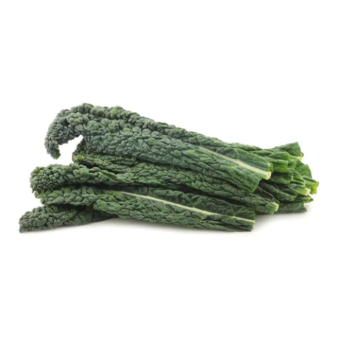 Semillas de Kale Nero di Toscano – Col rizada oscura, nutritiva y resistente al frío