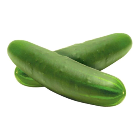 Semillas de Pepino Poinsett – Frutos crujientes y jugosos, resistentes y productivos