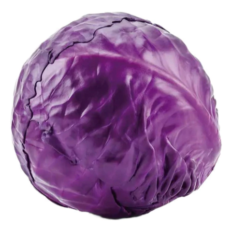Semillas de Repollo Morado – Hortaliza de alto rendimiento, ideal para ensaladas y fermentados.
