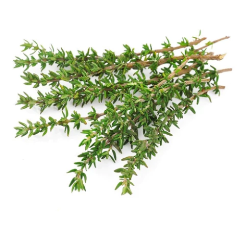 Semillas de Tomillo Í Huerta de Cero