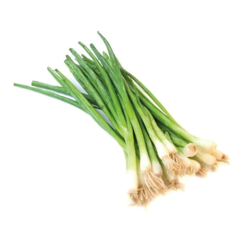 Cebolla De Verdeo - comprar online