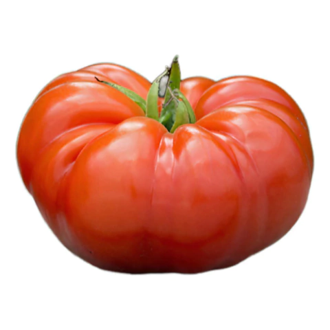 Tomate Platense italiano | Semillas Huerta de Cero