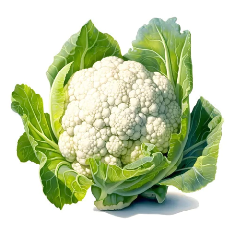 Semillas de Coliflor – Hortaliza blanca, compacta y nutritiva, ideal para huertos