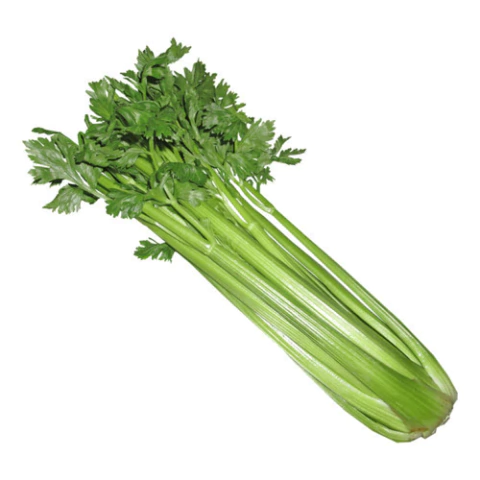 Semillas de Apio Blanco Pascal Gigante – Tallos anchos, frescos y crocantes para huerta