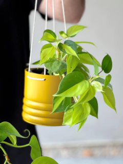 MACETA 12CM COLGANTE - LAPIN DECO