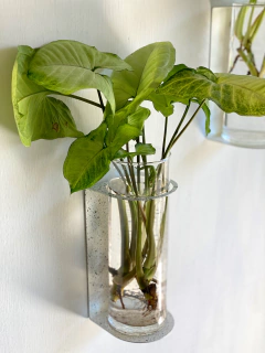 HIDRO DE PARED - LAPIN DECO