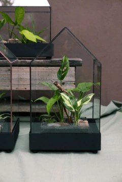 Imagen de CASA INVERNADERO CON BASE DE METAL
