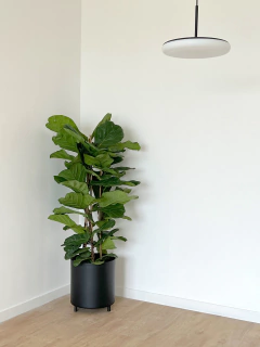 MACETERO APOLO ALUMINIO