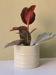 MACETA SATURNO 18CM ALUMINIO - tienda online