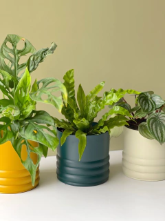 MACETA 12CM CURVY ALUMINIO en internet