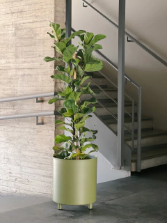 MACETERO APOLO ALUMINIO - tienda online