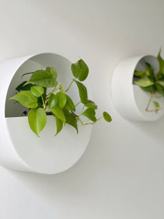 Imagen de MACETERO NOLITA BLANCO