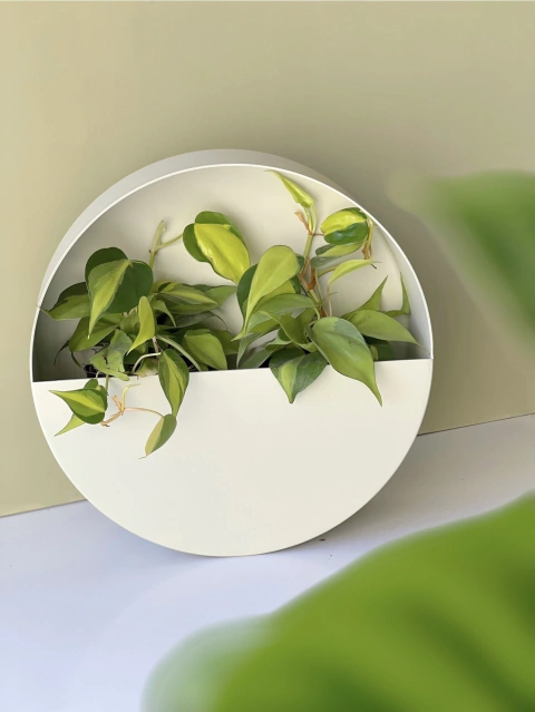 MACETERO NOLITA ARENA