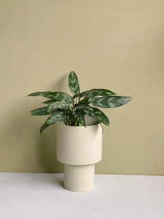 MACETA TOTEM CHICO - tienda online