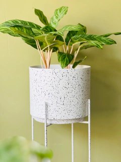 Imagen de MACETERO NEW YORK + PLATO