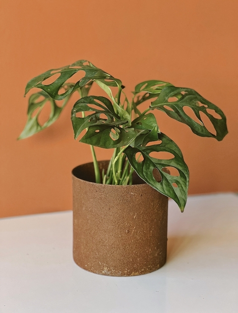 MACETA 12CM OXIDO