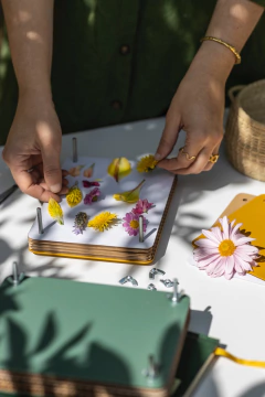 KIT PRENSA BOTANICA - tienda online